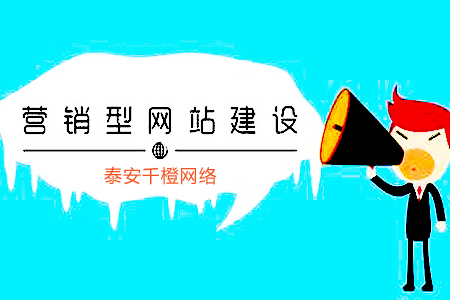 泰安网络公司：营销型网站特点