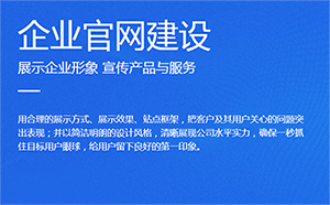泰安网站建设的一些思路及想法